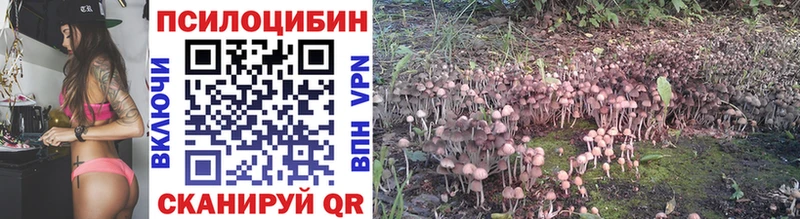 Псилоцибиновые грибы Magic Shrooms  Новосокольники 